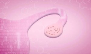 卵巢保养雷区多，这份“保养秘笈”一定要收好