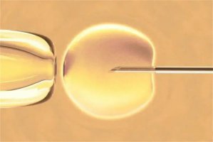 试管多大年龄都能做？这个年龄段更容易成功~